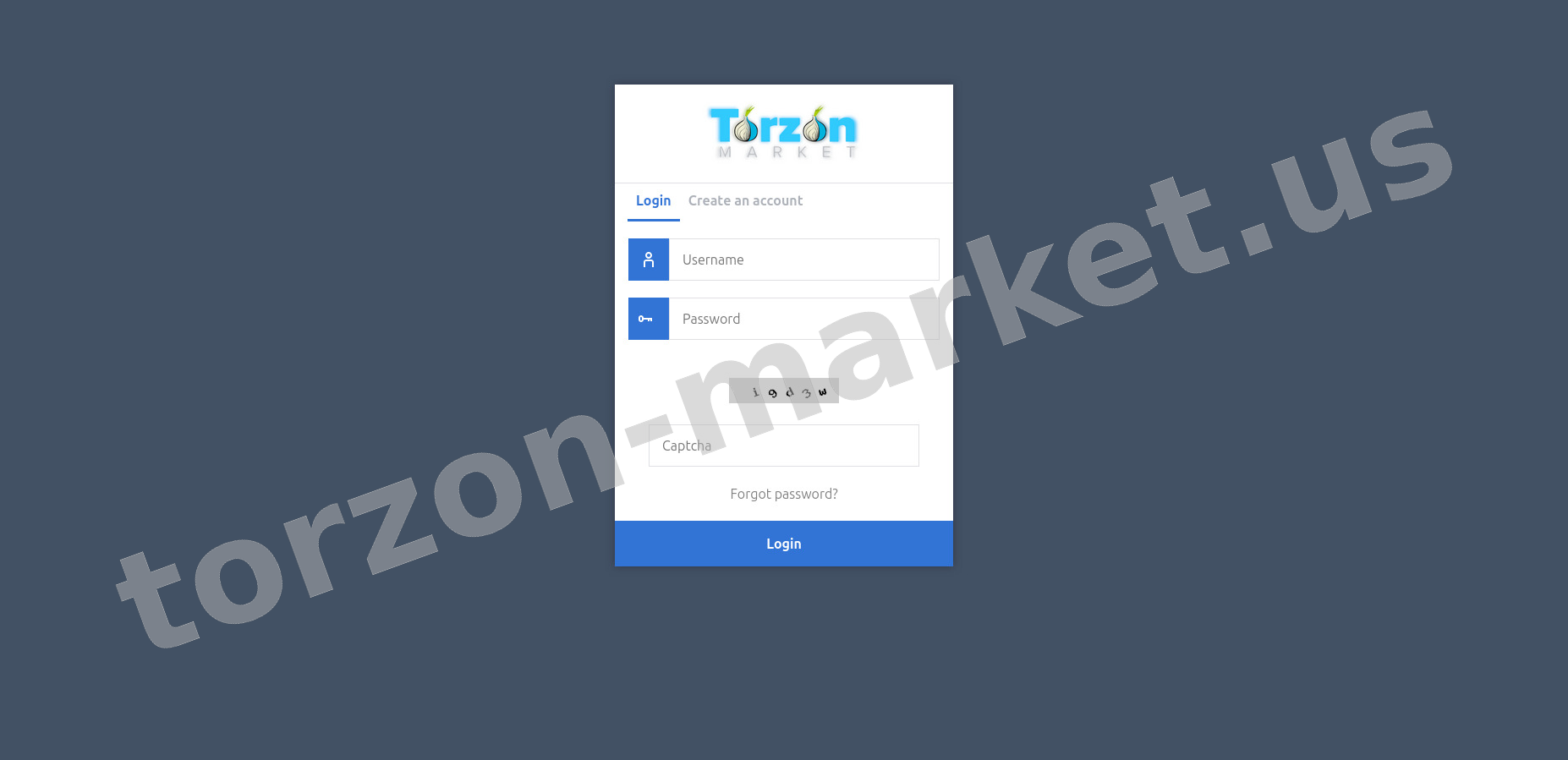 User Login Interface